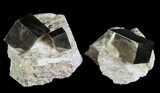 Natural, Pyrite Cubes In Rock From Spain (Wholesale Flat) - Pieces #65674-1